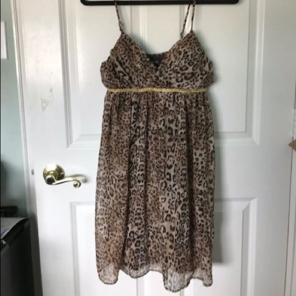 Alyn Paige Woman’s Leopard Print dress